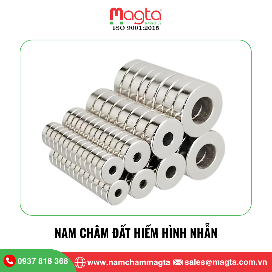 10 Nam châm đất hiếm hình nhẫn