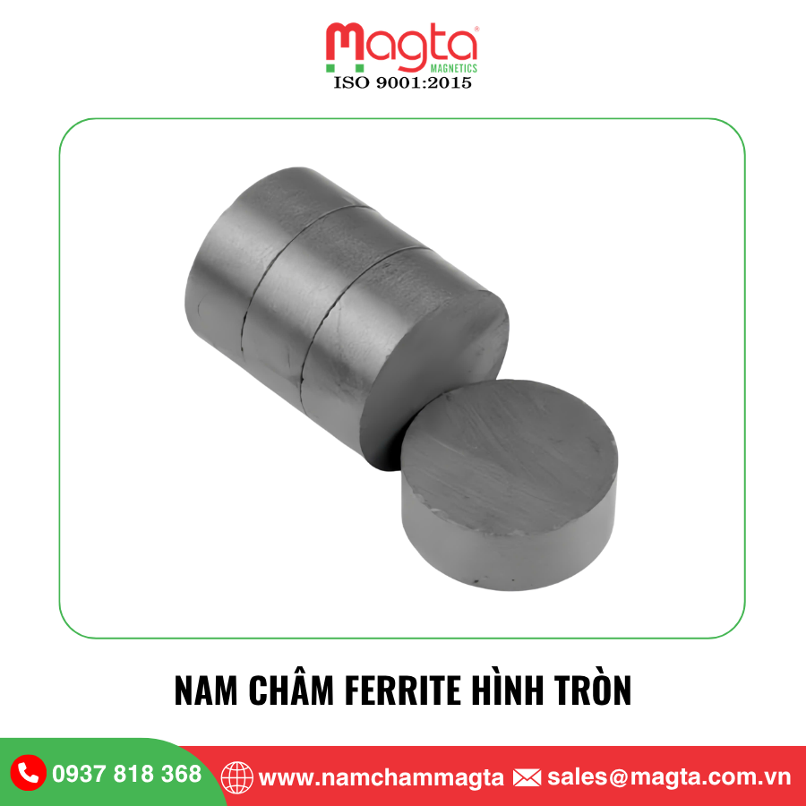 11 Nam châm Ferrite hình tròn