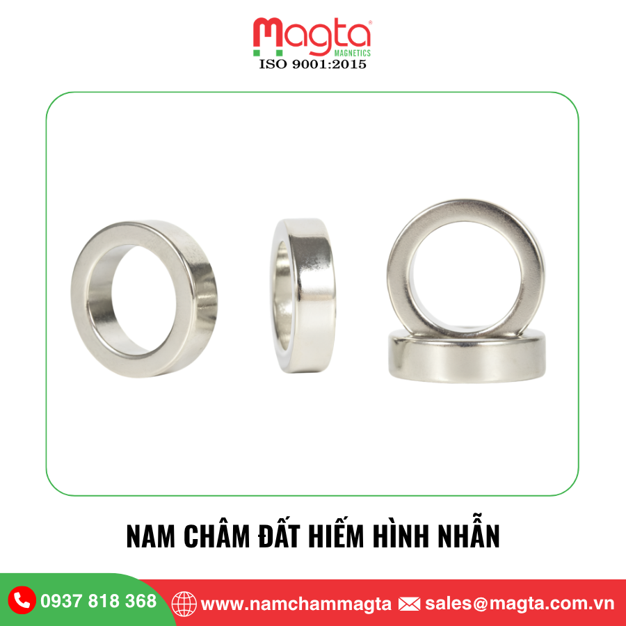 12 Nam châm đất hiếm hình nhẫn