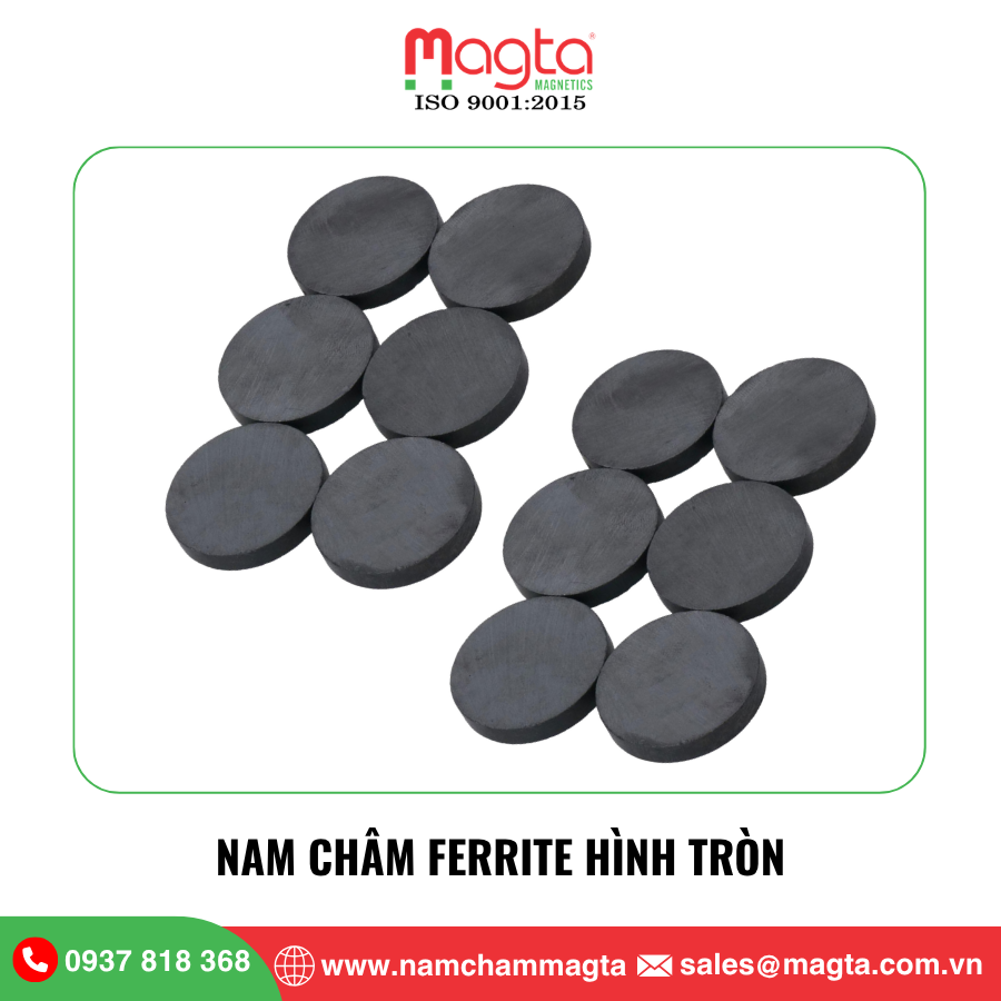 6 Nam châm Ferrite hình tròn